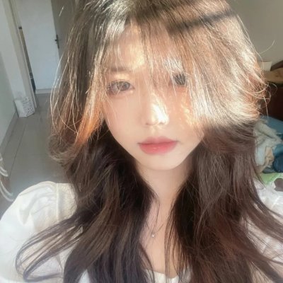 追鹰日记海报